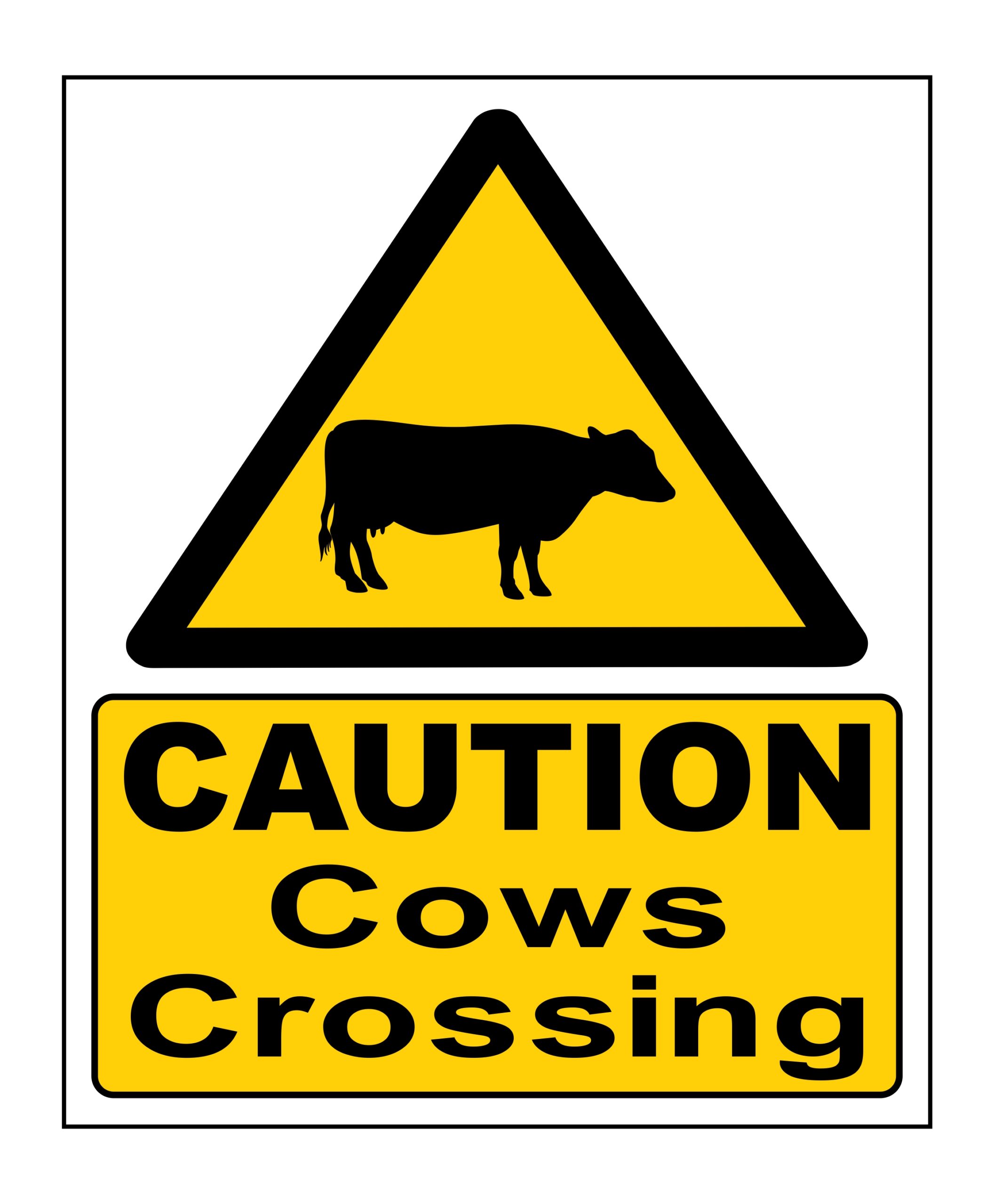 Caution Cows Crossing signage