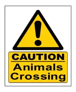 Caution Animals Crossing