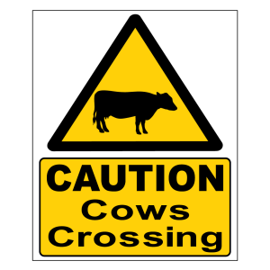 Caution Cows Crossing